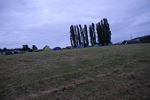 photo 10881885.jpg